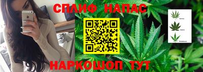 mdpv Аша