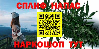 mdpv Аша