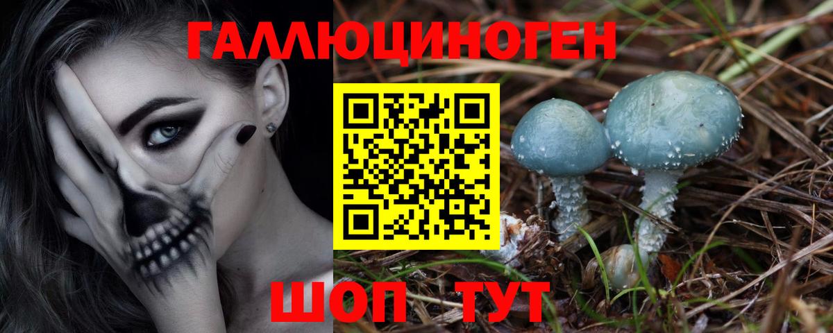 Псилоцибиновые грибы прущие грибы Будённовск